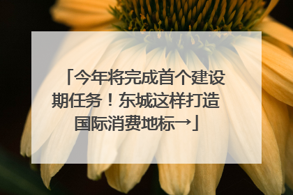 今年将完成首个建设期任务！东城这样打造国际消费地标→