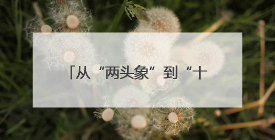 从“两头象”到“十大文商旅新IP” 新乡文旅“火力全开”
