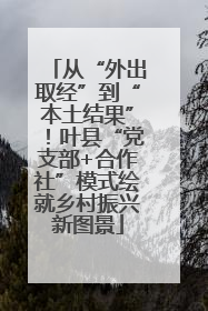 从“外出取经”到“本土结果”！叶县“党支部+合作社”模式绘就乡村振兴新图景