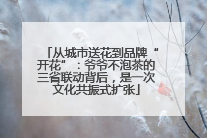 从城市送花到品牌“开花”：爷爷不泡茶的三省联动背后，是一次文化共振式扩张