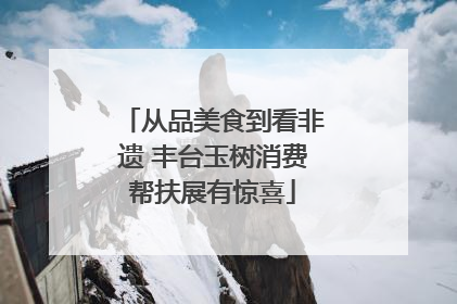从品美食到看非遗 丰台玉树消费帮扶展有惊喜