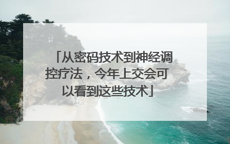 从密码技术到神经调控疗法，今年上交会可以看到这些技术