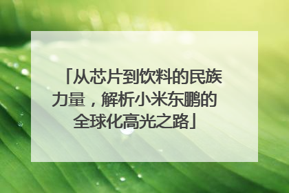 从芯片到饮料的民族力量，解析小米东鹏的全球化高光之路
