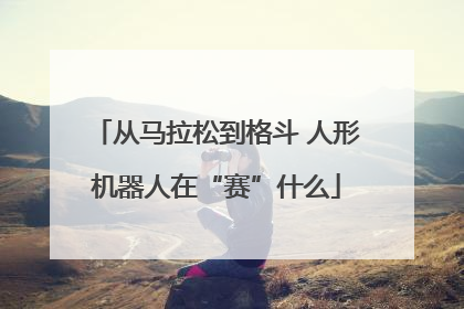 从马拉松到格斗 人形机器人在“赛”什么