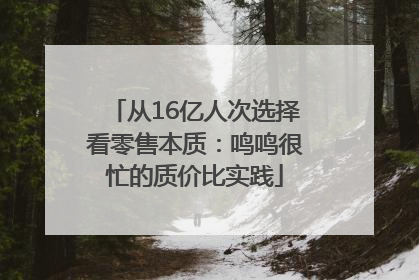 从16亿人次选择看零售本质：鸣鸣很忙的质价比实践