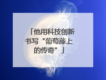 他用科技创新书写“葡萄藤上的传奇”