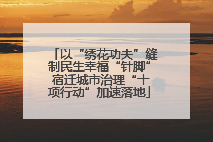 以“绣花功夫”缝制民生幸福“针脚” 宿迁城市治理“十项行动”加速落地