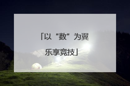 以“数”为翼 乐享竞技