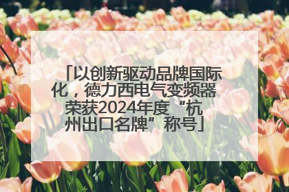 以创新驱动品牌国际化，德力西电气变频器荣获2024年度“杭州出口名牌”称号