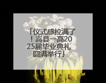 仪式感拉满了！嵩县一高2025届毕业典礼圆满举行