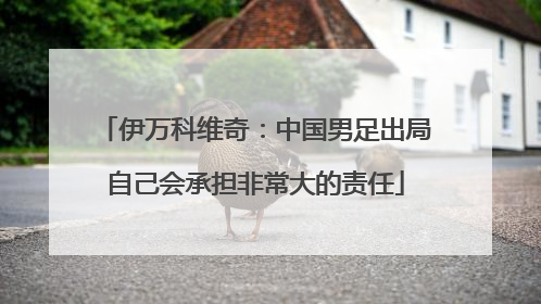 伊万科维奇：中国男足出局自己会承担非常大的责任