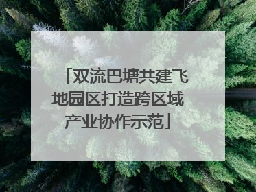 双流巴塘共建飞地园区打造跨区域产业协作示范