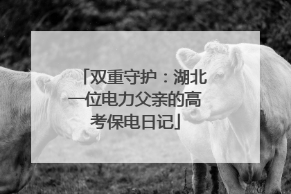 双重守护：湖北一位电力父亲的高考保电日记
