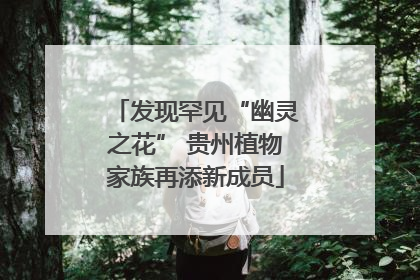 发现罕见“幽灵之花” 贵州植物家族再添新成员
