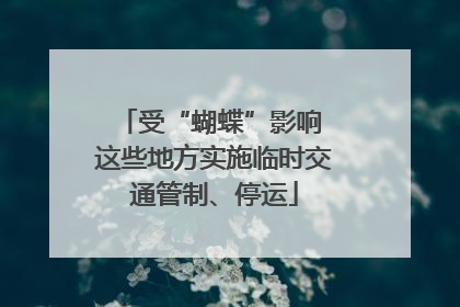 受“蝴蝶”影响 这些地方实施临时交通管制、停运