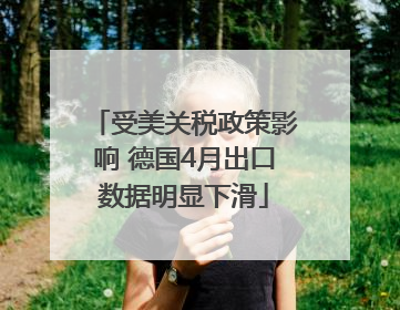 受美关税政策影响 德国4月出口数据明显下滑