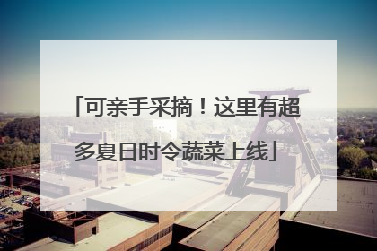 可亲手采摘！这里有超多夏日时令蔬菜上线