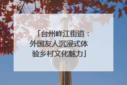 台州峰江街道：外国友人沉浸式体验乡村文化魅力