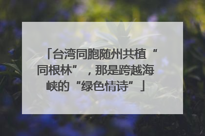 台湾同胞随州共植“同根林”，那是跨越海峡的“绿色情诗”