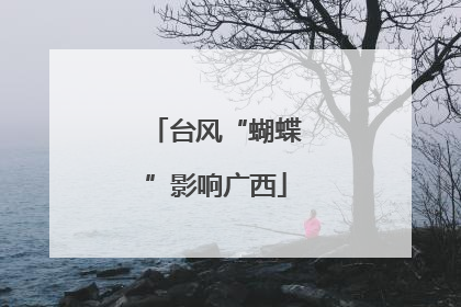 台风“蝴蝶”影响广西