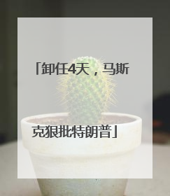 卸任4天，马斯克狠批特朗普