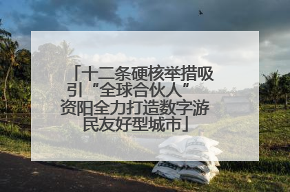 十二条硬核举措吸引“全球合伙人” 资阳全力打造数字游民友好型城市