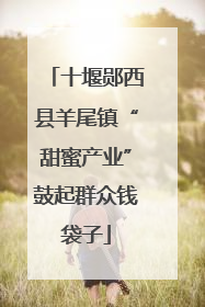 十堰郧西县羊尾镇“甜蜜产业”鼓起群众钱袋子