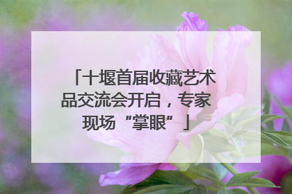 十堰首届收藏艺术品交流会开启，专家现场“掌眼”