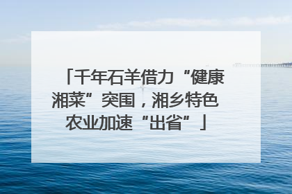 千年石羊借力“健康湘菜”突围，湘乡特色农业加速“出省”