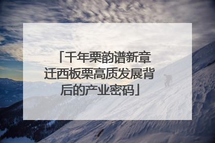 千年栗韵谱新章 迁西板栗高质发展背后的产业密码