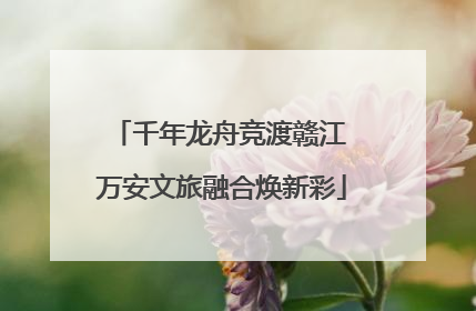 千年龙舟竞渡赣江 万安文旅融合焕新彩