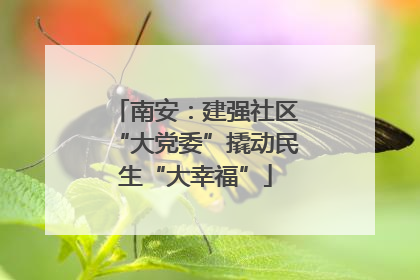 南安：建强社区“大党委”撬动民生“大幸福”
