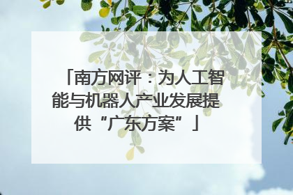 南方网评：为人工智能与机器人产业发展提供“广东方案”