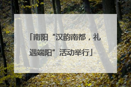 南阳“汉韵南都，礼遇端阳”活动举行