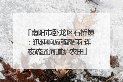 南阳市卧龙区石桥镇：迅速响应强降雨 连夜疏通河道护农田