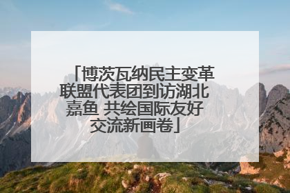 博茨瓦纳民主变革联盟代表团到访湖北嘉鱼 共绘国际友好交流新画卷
