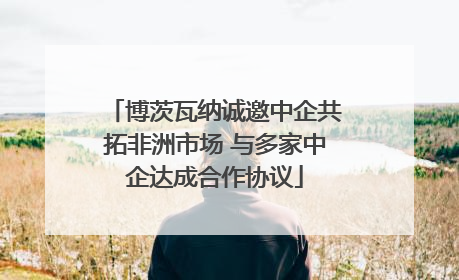 博茨瓦纳诚邀中企共拓非洲市场 与多家中企达成合作协议