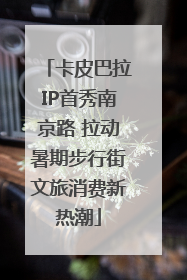 卡皮巴拉IP首秀南京路 拉动暑期步行街文旅消费新热潮