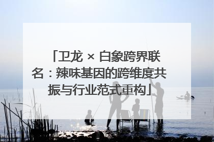 卫龙 × 白象跨界联名：辣味基因的跨维度共振与行业范式重构
