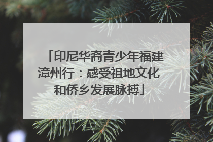 印尼华裔青少年福建漳州行：感受祖地文化和侨乡发展脉搏