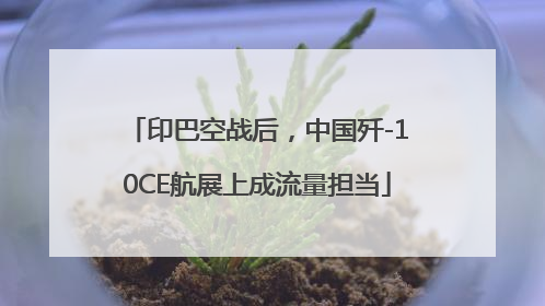 印巴空战后，中国歼-10CE航展上成流量担当