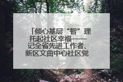 倾心基层“智”理 托起社区幸福——记全省先进工作者、新区文曲中心社区党委书记董世弘