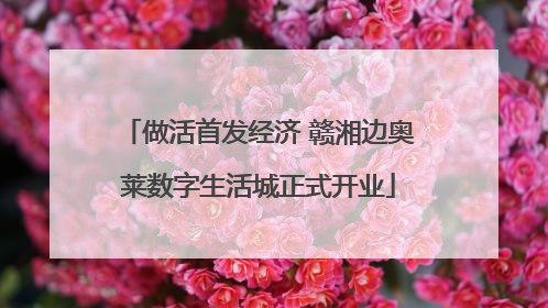 做活首发经济 赣湘边奥莱数字生活城正式开业