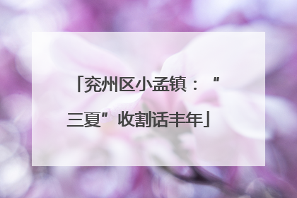 兖州区小孟镇：“三夏”收割话丰年