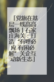 党旗在基层一线高高飘扬丨石家庄海关：打造“有呼必应 有困必解”关企互动新生态