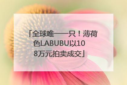 全球唯一一只！薄荷色LABUBU以108万元拍卖成交