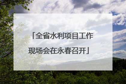 全省水利项目工作现场会在永春召开