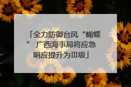 全力防御台风“蝴蝶” 广西海事局将应急响应提升为Ⅲ级