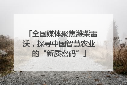 全国媒体聚焦潍柴雷沃，探寻中国智慧农业的“新质密码”
