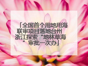 全国首个用地用海联审项目落地台州 浙江探索“地林草海”审批一次办